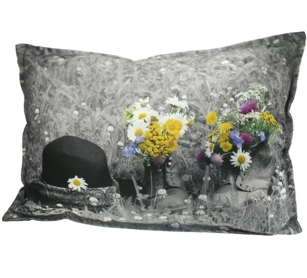 Hovedbilde Velourpute, Blomster i sko, Pryd