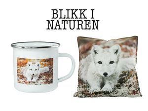Blikk i naturen
