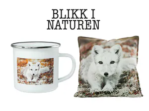 Blikk i naturen