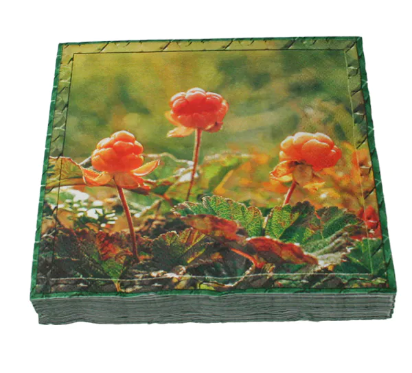 Hovedbilde Servietter, Multe, Flora