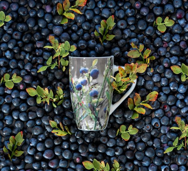 Hovedbilde Krus nr. 18 Blåbær, Pryd