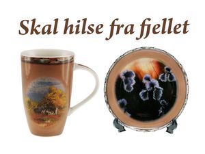 Skal hilse fra fjellet