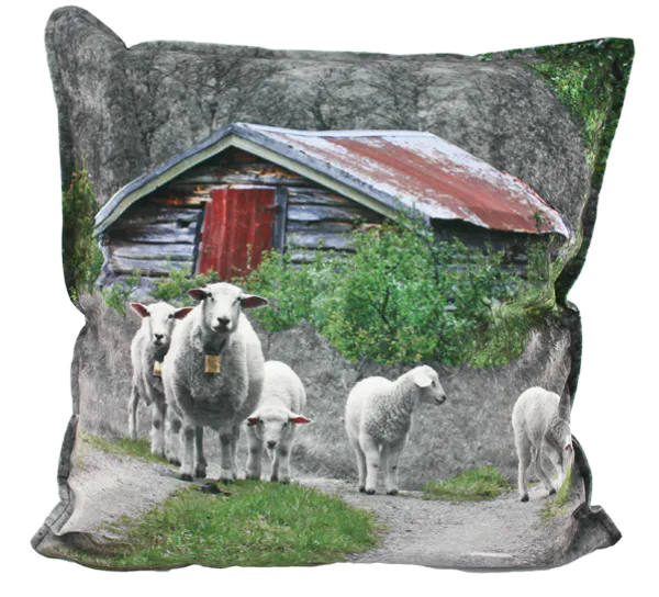 Hovedbilde Velourpute, Sau på setra, Pryd