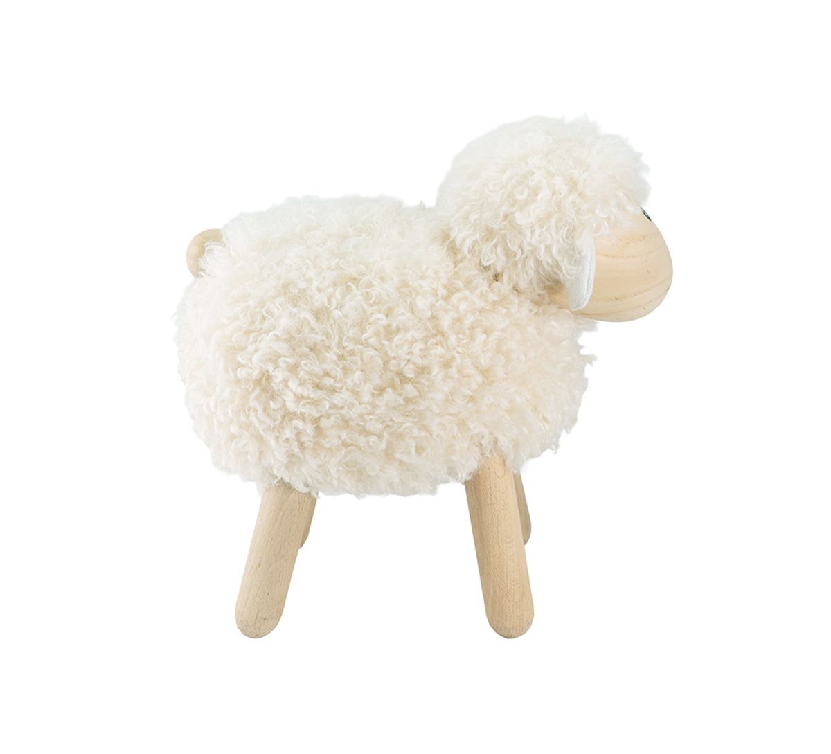 Sheep cream, big