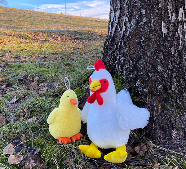 Main Image Yellow chick