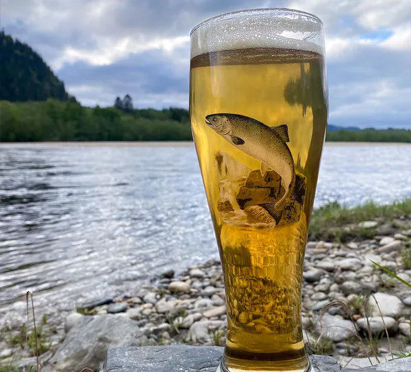 Main Image Beer glass Salmon